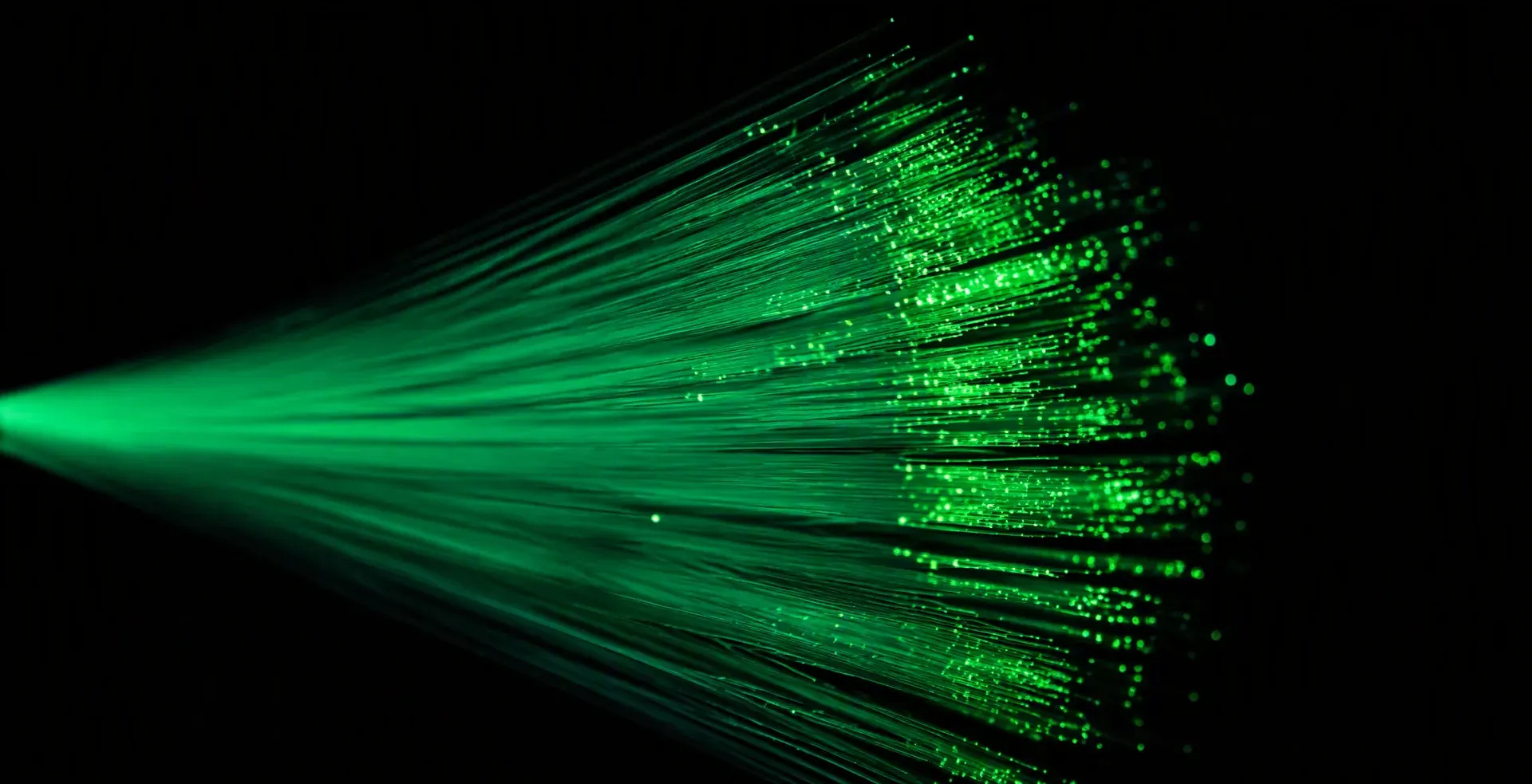 A bundle of optical fibers fanning from a tight point into a wide continuum, each strand carrying emerald light at its own intensity — a range of project scopes rather than fixed packages at Veles Labs